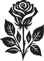 Mobile
+8801992288522