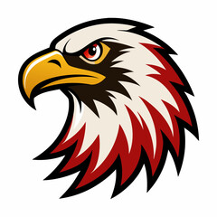 Fototapeta premium american bald eagle