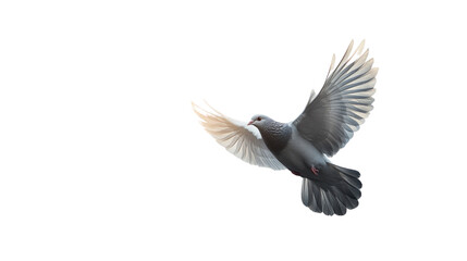 Fototapeta premium Soaring Dove: A graceful dove in full flight against a backdrop of limitless sky, embodying freedom, peace, and the boundless possibilities of the open air.
