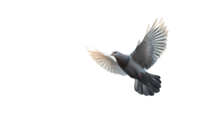 Soaring Dove: A graceful dove in full flight against a backdrop of limitless sky, embodying freedom, peace, and the boundless possibilities of the open air.