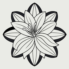 vector illustration of a flower
