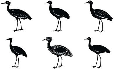 Obraz premium African jacana animal bird silhouette black vector art set design 