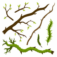 Fototapeta premium green tree isolated on white background