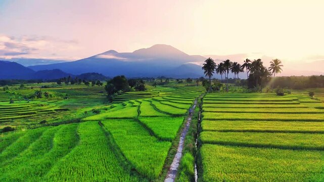 beautiful morning view indonesia panorama landscape paddy fields with beauty color and sky natural light