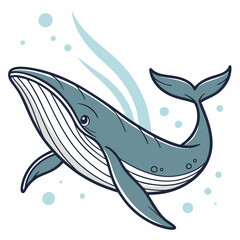 vector illustration of a whale