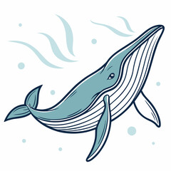 vector illustration of a whale