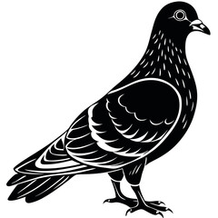 Fototapeta premium pigeon-silhouette-vector-illustration(1).eps