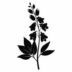 black and white floral vector