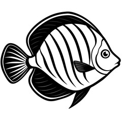 vector illustration of a fish