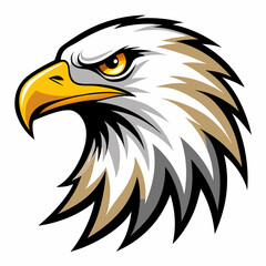 American bald eagle vector illustration