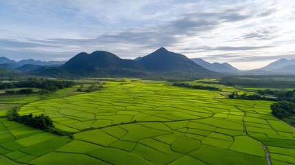 Fototapeta premium An aerial view of a picturesque landscape featuring lush terraced green farmland nestled between rolling mountains and hills in a serene rural countryside setting