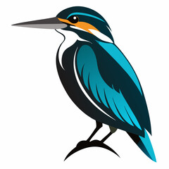 Kingfisher bird