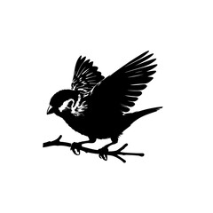 Obraz premium sparrow silhouette , sparrow vector