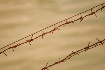 Double row of weathered steel barbed wire under moody clouds. Perfect for security concepts, military visuals, or apocalyptic themes. High-resolution texture with dramatic shadows.