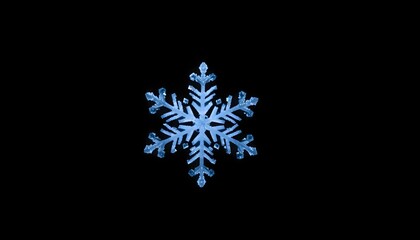 snowflake is shown on a black background