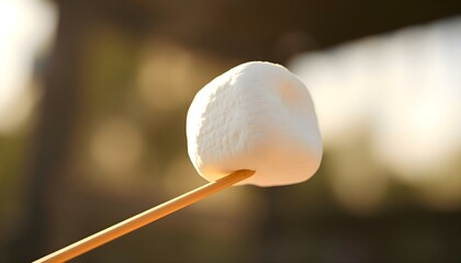 close up of a marshmallow on a stick