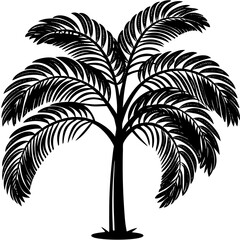 palm tree silhouette