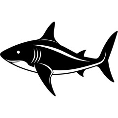 shark vector illustration