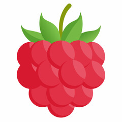 raspberry vector illustration