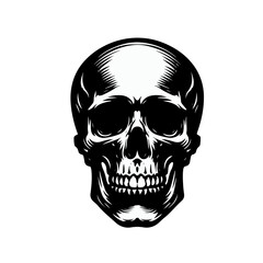 skull silhouette , skull art 