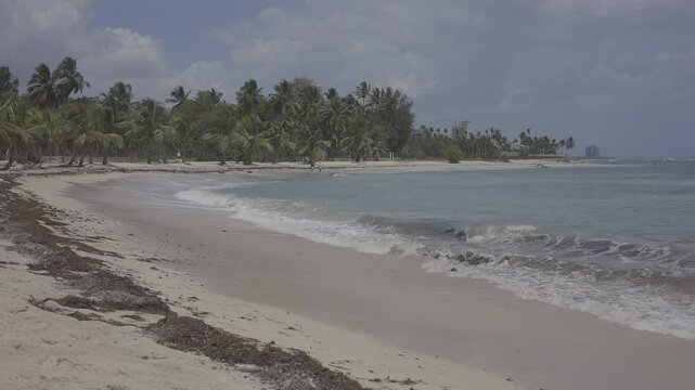 Beach in the morning, Canon oes r, c-log 8bits HD
