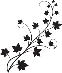 isolated climbing hawthorn plants ivy vine  Vector,climbing hawthorn plants ivy vine Silhouette,climbing hawthorn plants ivy vine icon set, climbing hawthorn plants ivy vine symbol ,black climbing haw
