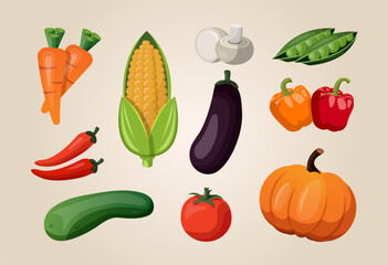 Vegetables illustration set. Vegetables vector design