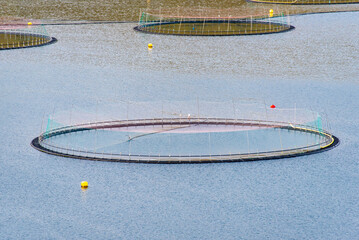 Salmon Farming - Faroe Islands