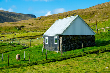 Small Barn on a Sheep Pasture - Faroe Islands