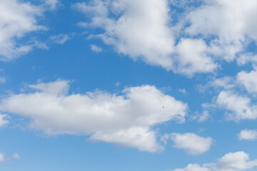 Blue Sky with Clouds and Bird Soaring High