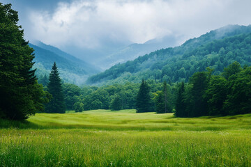 Obraz premium Lush Green Meadow with Mountains and Foggy Sky in the Background