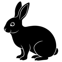 black and white rabbit