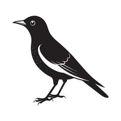violet backed starling silhouette