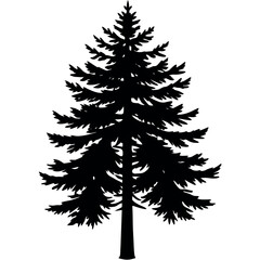 A tall-and-majestic pine-tree-silhouette 