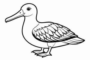coloring page albatross black vector