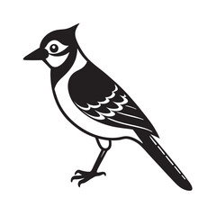 Black bird blue jay silhouette on winter branch vector art