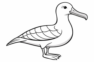 coloring page albatross black vector