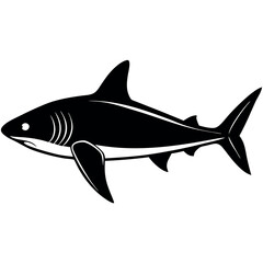 Fototapeta premium blacktip-reef-shark 