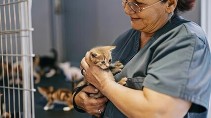 Veterinarian is holding a small ginger kitten in her arms, providing care and comfort inside a cage at an animal shelter or veterinary clinic, with other animals visible in the background