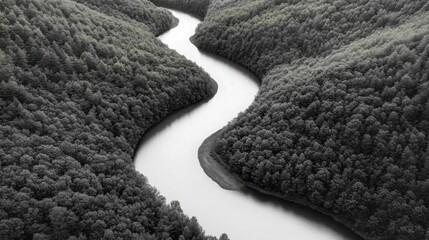 Fototapeta premium A high-contrast black and white aerial shot of a winding river cutting through a dense forest