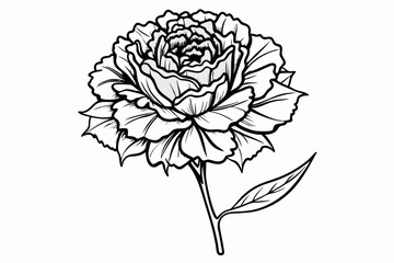 coloring page line art the carnation black vector