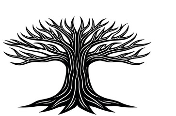 Obraz premium tree-trunk 