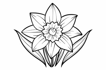 coloring page line art the daffodil black vector