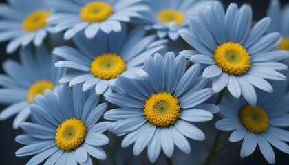 Fototapeta premium Close-up photograph of several blue daisy flowers with yellow centers, captured with a macro lens to highlight the intricate details of the petals and stamen