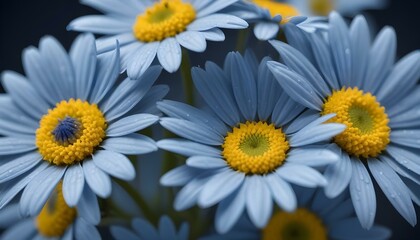 Fototapeta premium Close-up photograph of several blue daisy flowers with yellow centers, captured with a macro lens to highlight the intricate details of the petals and stamen