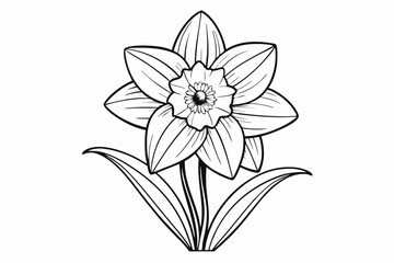 coloring page line art the daffodil black vector