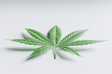 3d render of Marijuana leaf isolated on white, selective focus with bokeh. Studio shot of Cannabis leaf over white background