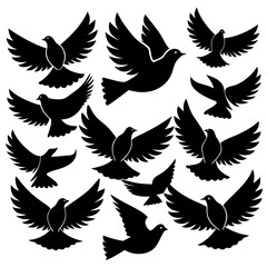 wings vector illustration