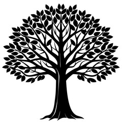 Obraz premium Minimal style cad tree line drawing, Side view, set of graphics trees elements outline symbol for architecture and landscape design drawing.