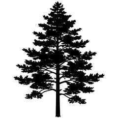 Obraz premium Seamless forest green Christmas trees pattern background